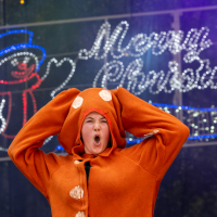 Hit refresh if image not shown