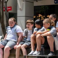 Hit refresh if image not shown