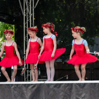 Hit refresh if image not shown