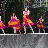 Hit refresh if image not shown