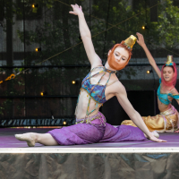 Hit refresh if image not shown