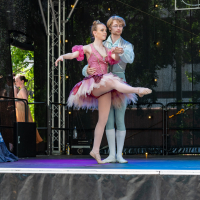 Hit refresh if image not shown