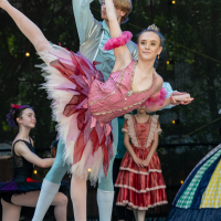 Hit refresh if image not shown