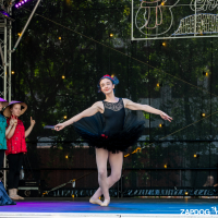 Hit refresh if image not shown