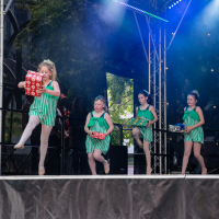 Hit refresh if image not shown