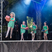 Hit refresh if image not shown