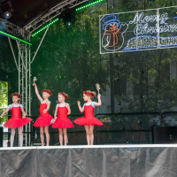 Hit refresh if image not shown