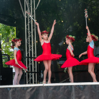 Hit refresh if image not shown