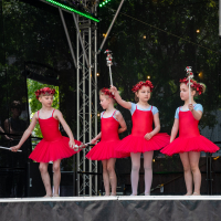 Hit refresh if image not shown