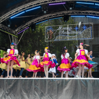 Hit refresh if image not shown