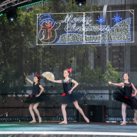 Hit refresh if image not shown