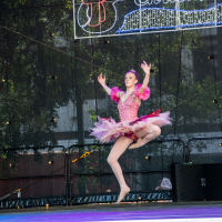 Hit refresh if image not shown