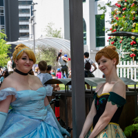 Hit refresh if image not shown