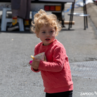 Hit refresh if image not shown