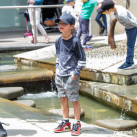 Hit refresh if image not shown