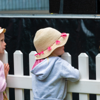 Hit refresh if image not shown