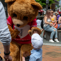 Hit refresh if image not shown