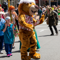 Hit refresh if image not shown