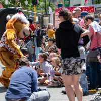 Hit refresh if image not shown