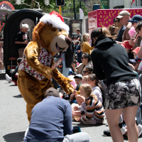 Hit refresh if image not shown