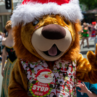 Hit refresh if image not shown