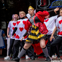 Hit refresh if image not shown