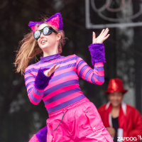 Hit refresh if image not shown