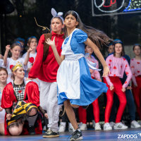 Hit refresh if image not shown