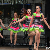 Hit refresh if image not shown