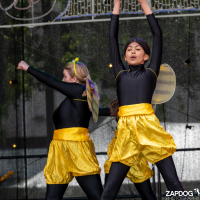 Hit refresh if image not shown