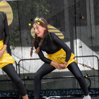 Hit refresh if image not shown