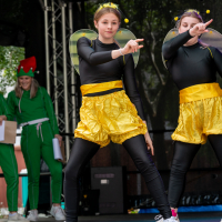 Hit refresh if image not shown