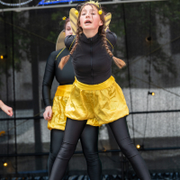 Hit refresh if image not shown