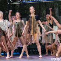 Hit refresh if image not shown