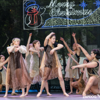 Hit refresh if image not shown