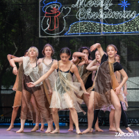 Hit refresh if image not shown