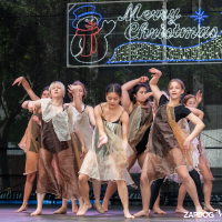 Hit refresh if image not shown