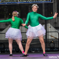 Hit refresh if image not shown