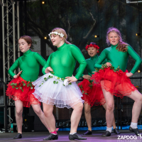 Hit refresh if image not shown