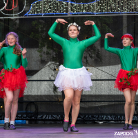 Hit refresh if image not shown