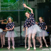 Hit refresh if image not shown