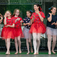 Hit refresh if image not shown