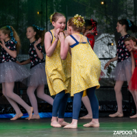 Hit refresh if image not shown