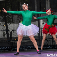 Hit refresh if image not shown