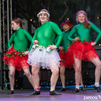 Hit refresh if image not shown