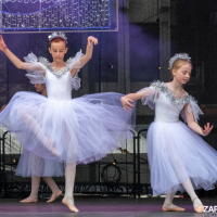 Hit refresh if image not shown