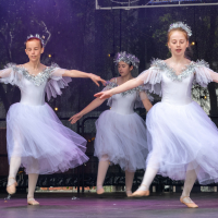 Hit refresh if image not shown