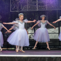 Hit refresh if image not shown