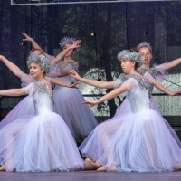 Hit refresh if image not shown