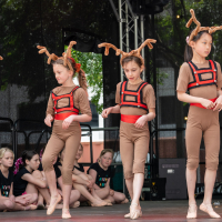 Hit refresh if image not shown